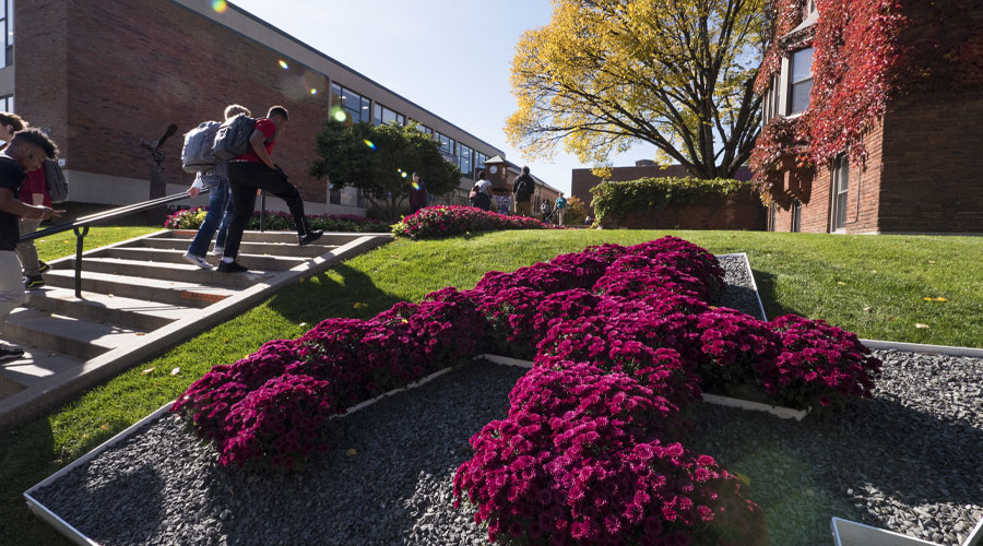 Flowers in the shape of the Augsburg A. On campus leading up to the quad.